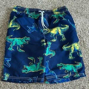 Dinosaur Print Swim Shorts